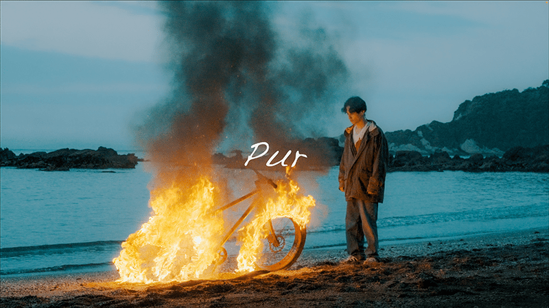 Pur
